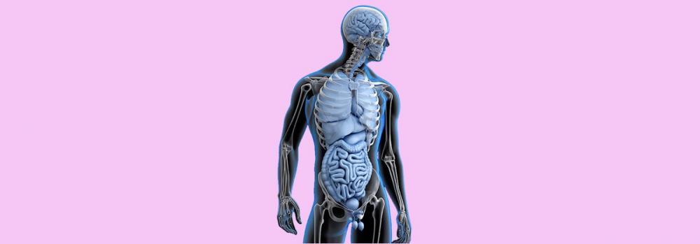 Protocolo de desintoxicação alimentar está melhorando a vida de pessoas em Canaã