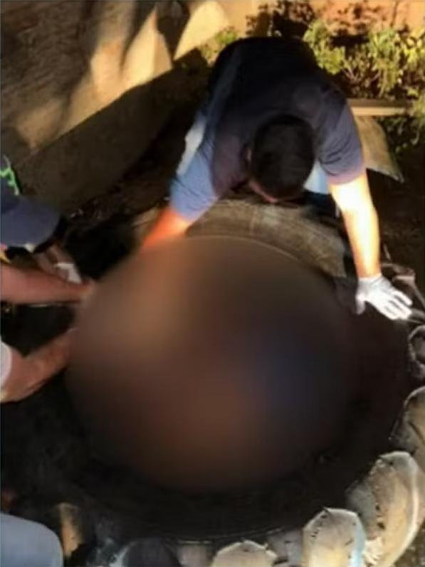 Ourilândia do Norte: Corpo de mulher é encontrado dentro de pneu de trator