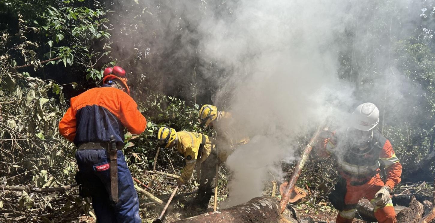 Sete dias depois da destruição, incêndio que consumiu parte da Floresta de Carajás é finalmente controlado