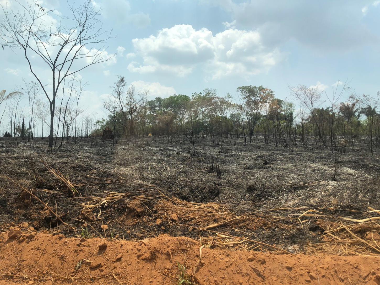 Em Ourilândia do Norte, polícia civil prende homem suspeito por incêndio em assentamento