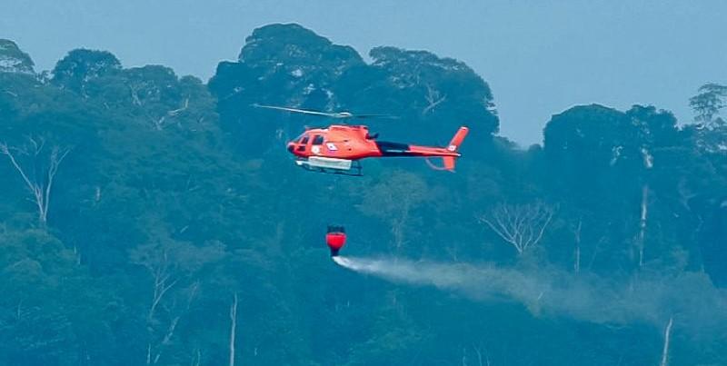 Governo do Estado realiza operação inédita para recuperar áreas afetadas por incêndios florestais no Pará