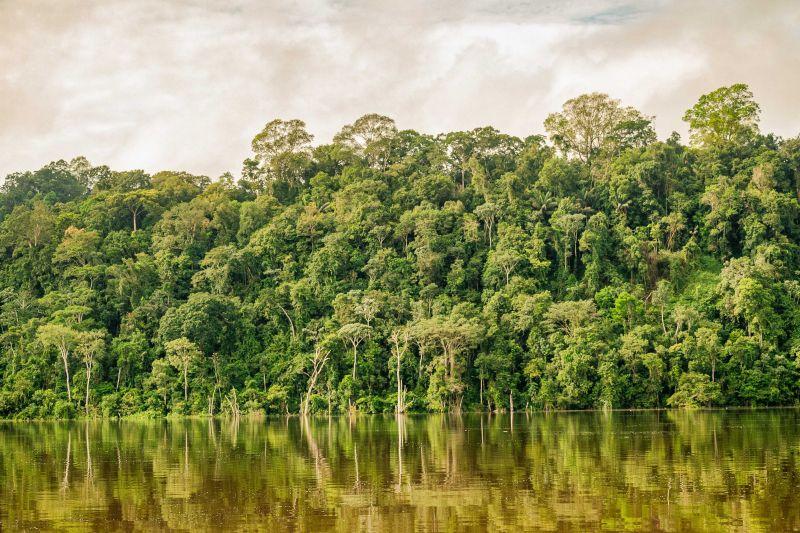 Estado consolida parceria que vai fortalecer monitoramento e fiscalização ambiental