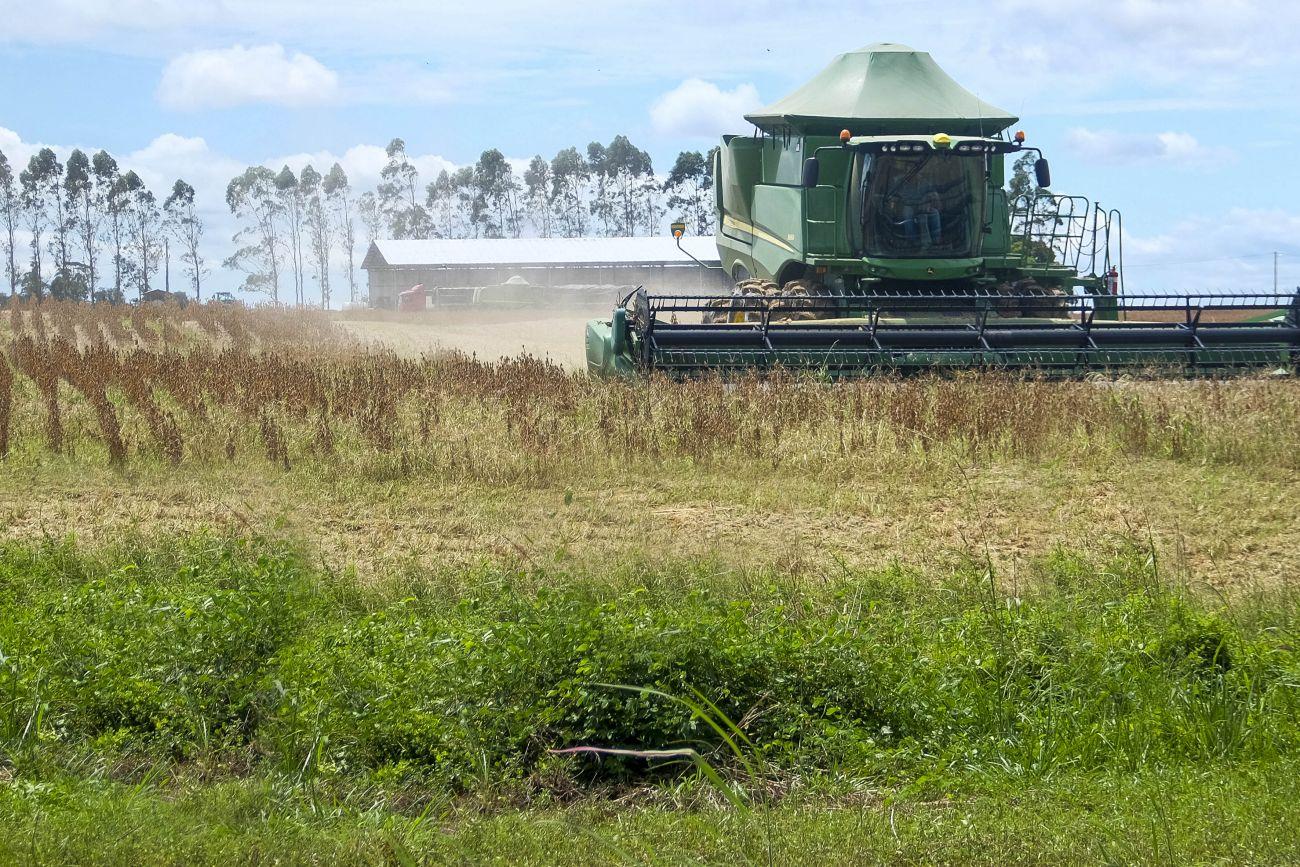 Ótima notícia: Governo do Pará extingue taxa do agronegócio para conter alta dos alimentos