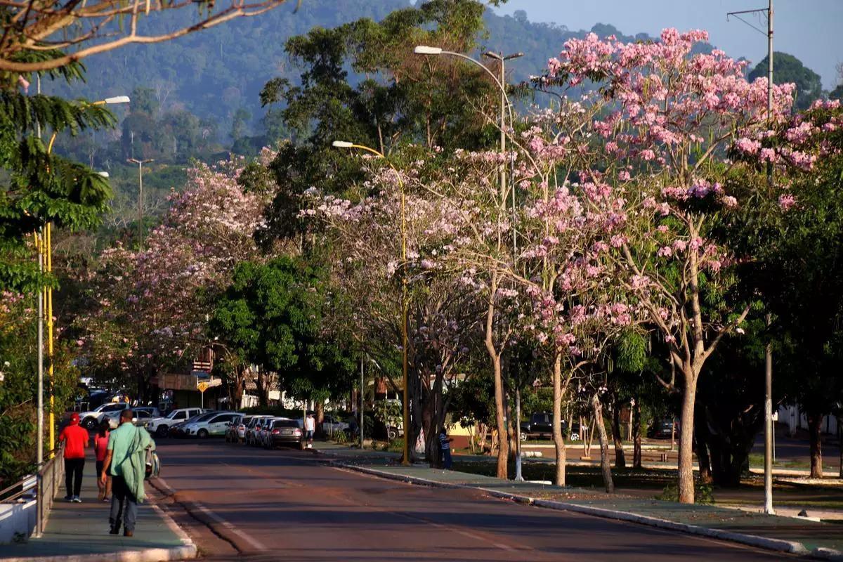MAIS DE 80 VAGAS! Pegue sua carteira de trabalho e escolha já seu emprego em Parauapebas