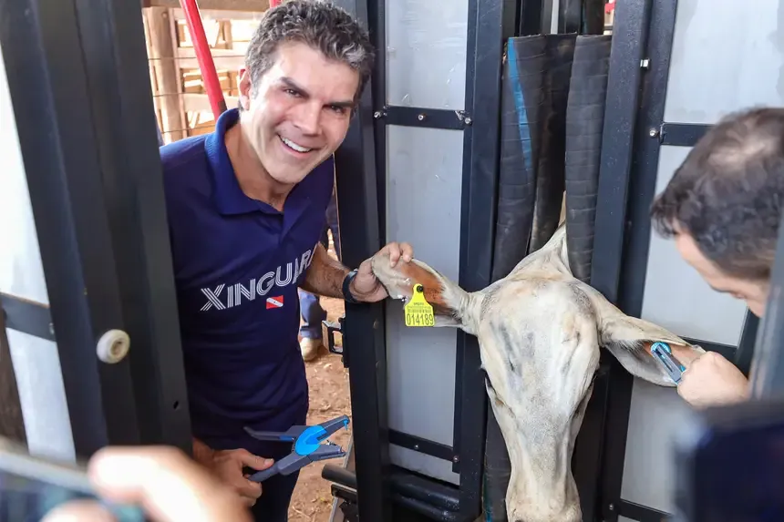 Produção sustentável do Pará será destaque na COP 30