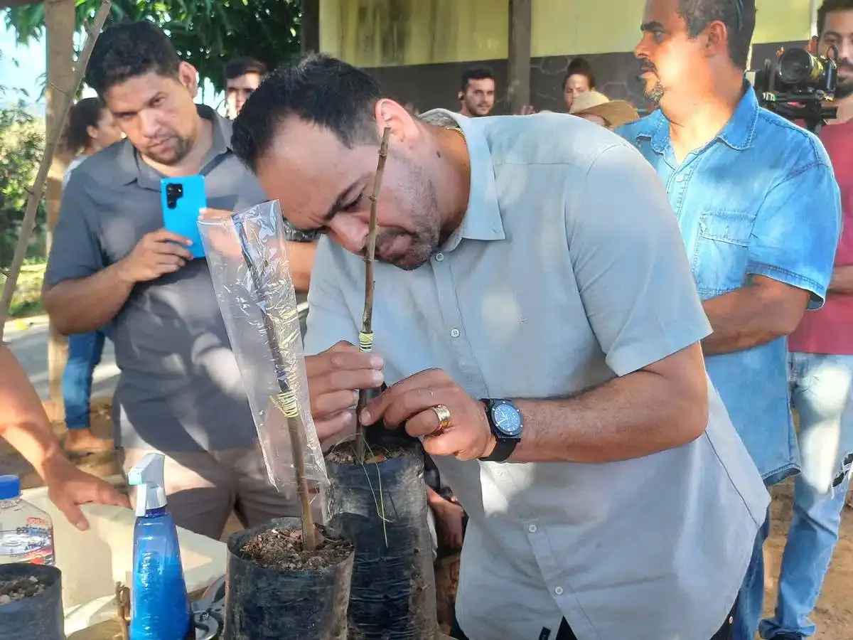 Prefeitura firma parceria com UFRA para fomentar a cacauicultura