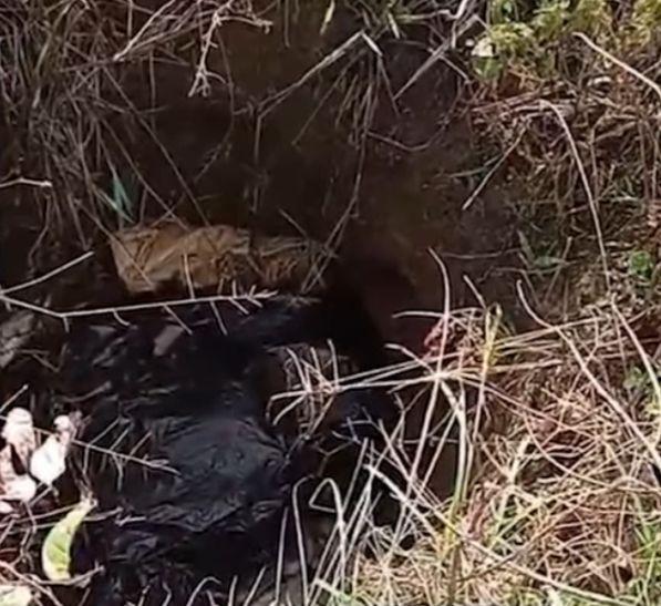 Agricultor é encontrado morto dentro de poço na zona rural entre Anapu e Pacajá