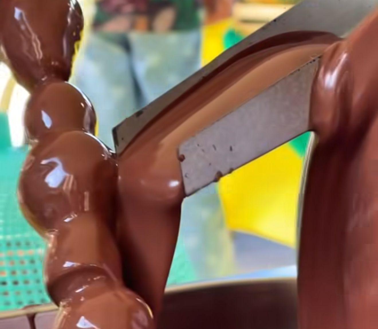 Festa do Cacau movimenta Belo Monte e consolida Novo Repartimento na produção cacaueira