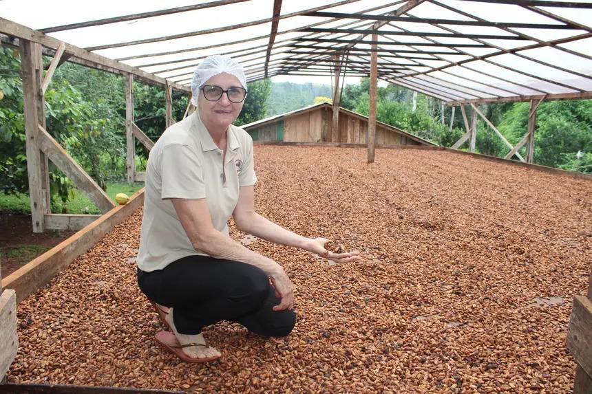 Governo do Pará investe na agroindústria do cacau com foco na verticalização e sustentabilidade