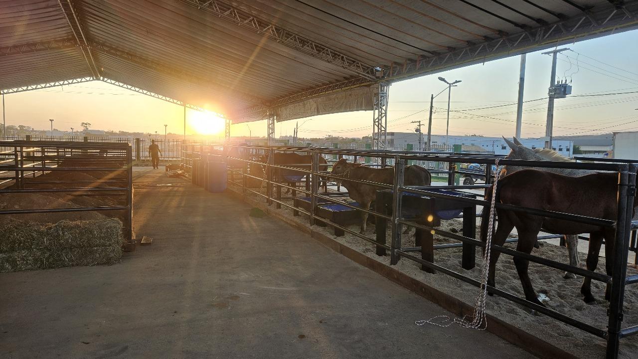 Fazendinha da Sempru terá programação especial na 10ª Expo Canaã