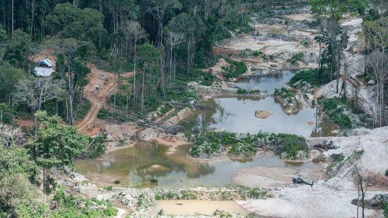 Pará: Justiça valida embargo do Ibama a propriedades vizinhas por desmatamento ilegal