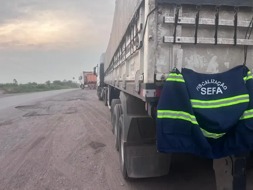 Sefa apreende 623 m² de ladrilhos avaliados em mais de R$ 175 mil