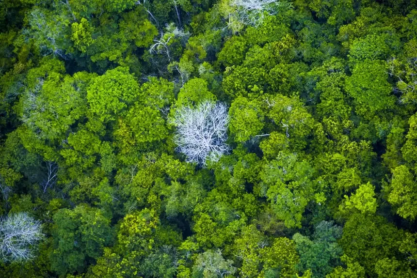 Semas divulga índices do ICMS Verde para repasses aos municípios em 2026
