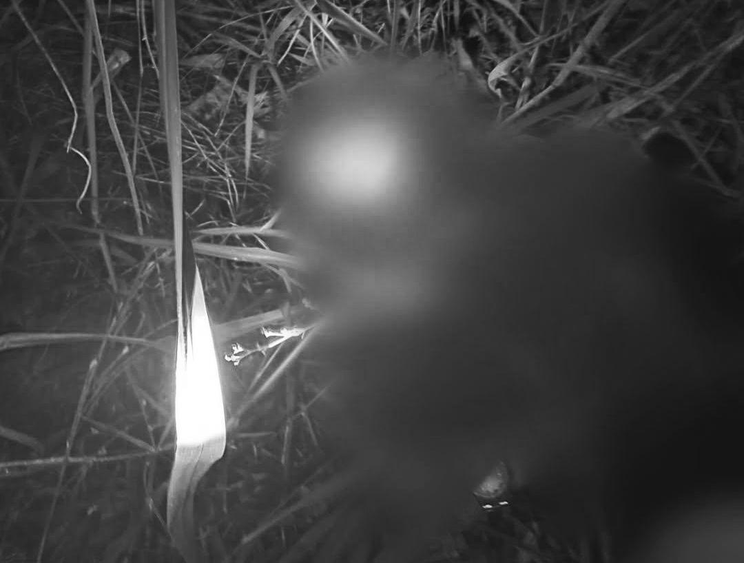 Homicídio no bairro Nova Carajás choca população de Parauapebas