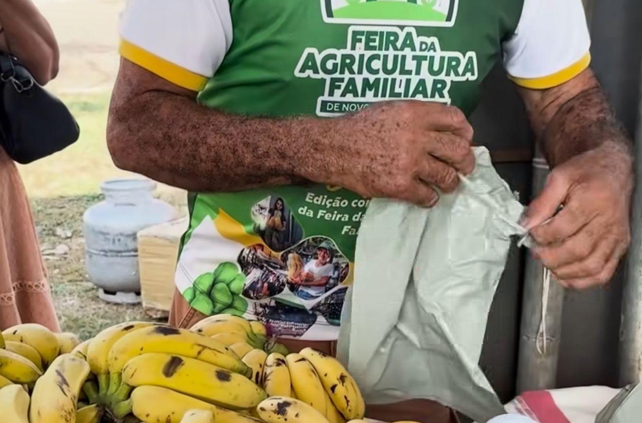 Novo Repartimento: primeira Feira da Agricultura Familiar de 2026 acontece no dia 30 de janeiro