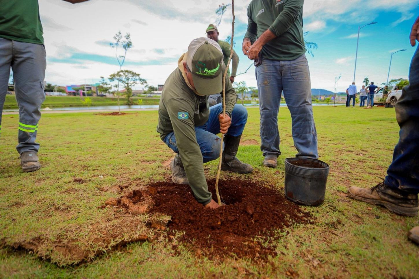 Canaã acelera plantio e transforma meta ambiental em realidade