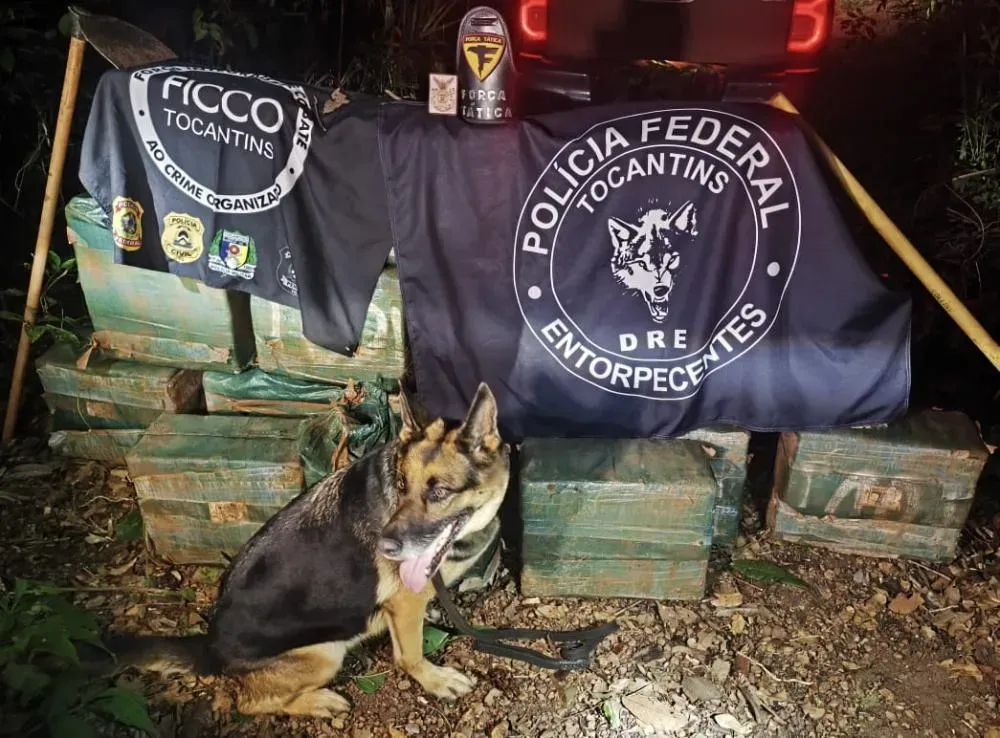 Forças de segurança apreendem quase meia tonelada de cocaína e desmontam estrutura de tráfico no Tocantins