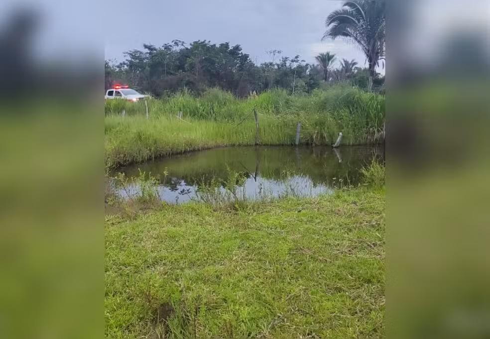 Idoso de 81 anos morre e duas pessoas ficam feridas após ataque de abelhas no Tocantins