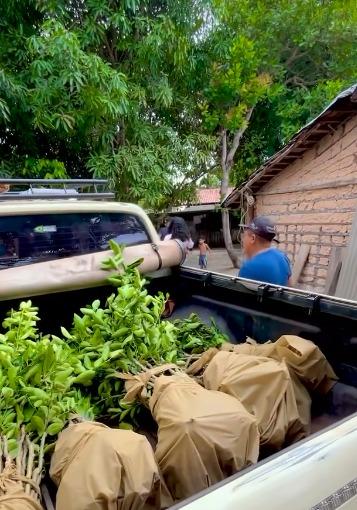 Prefeitura de Goianésia do Pará fortalece agricultura familiar com ações nas comunidades rurais