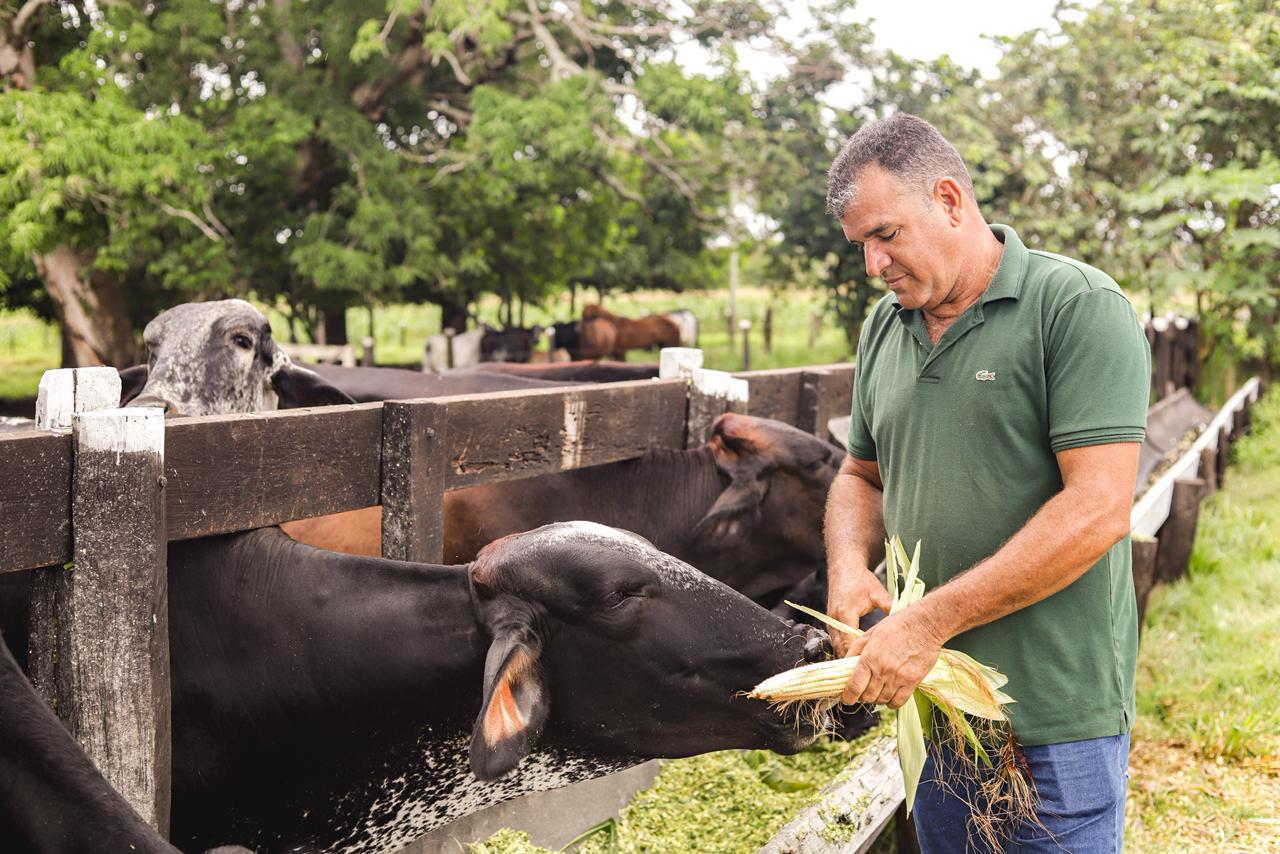 Produtor prospera com programa Bacia Leiteira, iniciativa da prefeitura de Canaã