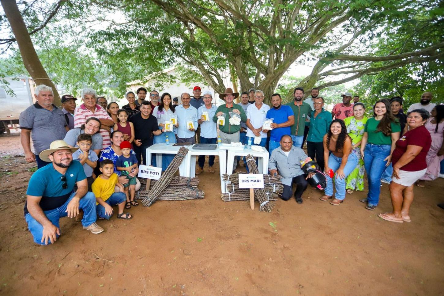 Produtores canaenses recebem mudas certificadas de cultivares desenvolvidas pela Embrapa