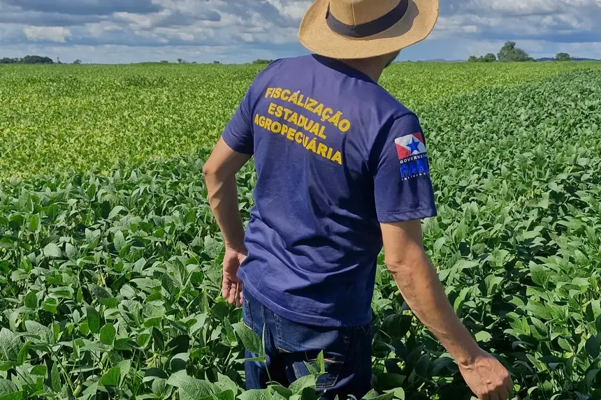 Sojicultores paraenses têm até 28 de fevereiro para realizar cadastro obrigatório na Adepará