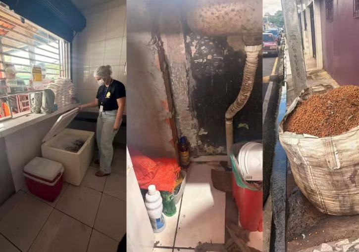 Três estabelecimentos de açaí são interditados em Ananindeua após casos de doença de Chagas