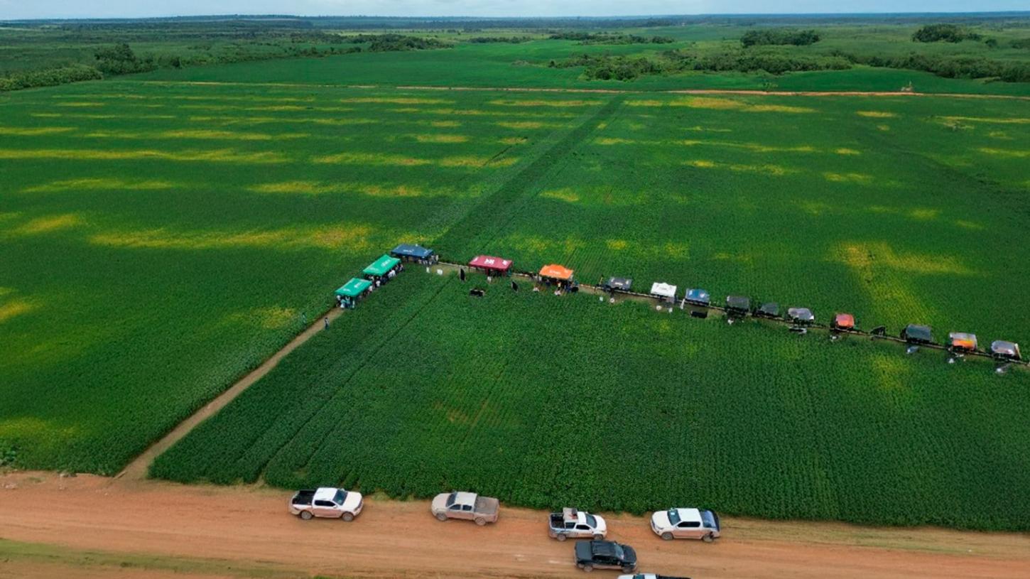 4º Dia de Campo em Goianésia do Pará destaca inovação e fortalece o agronegócio regional