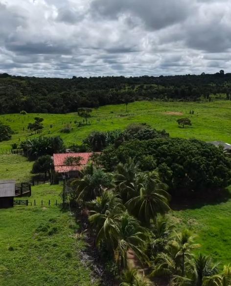 Bannach realiza curso de manejo e recuperação de pastagens para produtores rurais