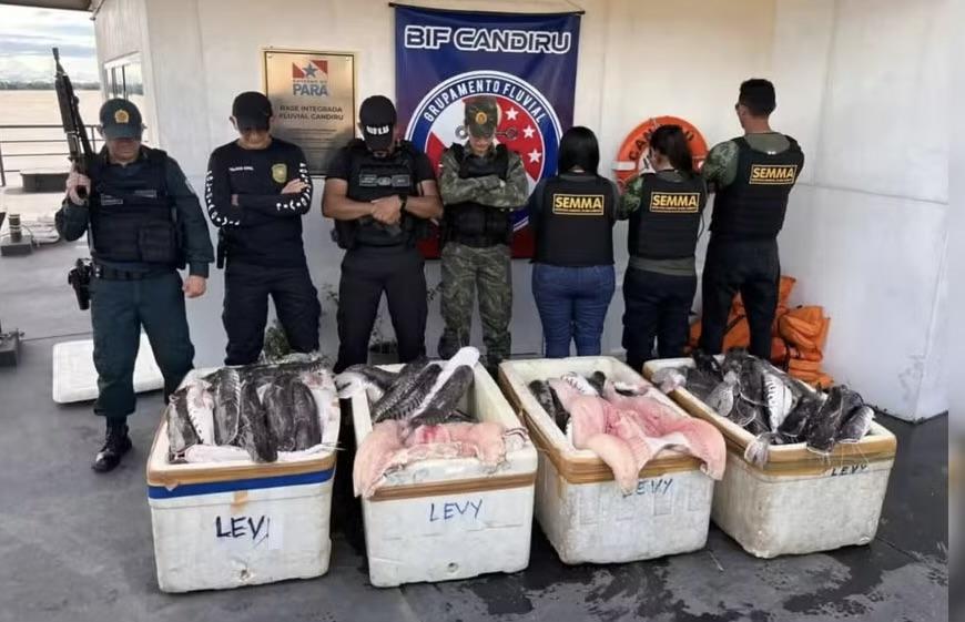 Base Candiru intercepta mais de 600 quilos de pescado irregular em Óbidos
