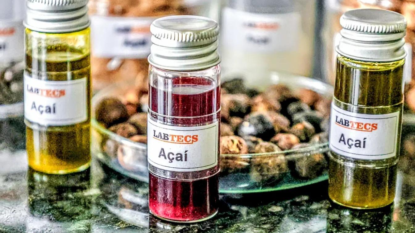 Bioeconomia movimenta R$ 13,5 bilhões e reforça papel da sociobiodiversidade na economia do Pará