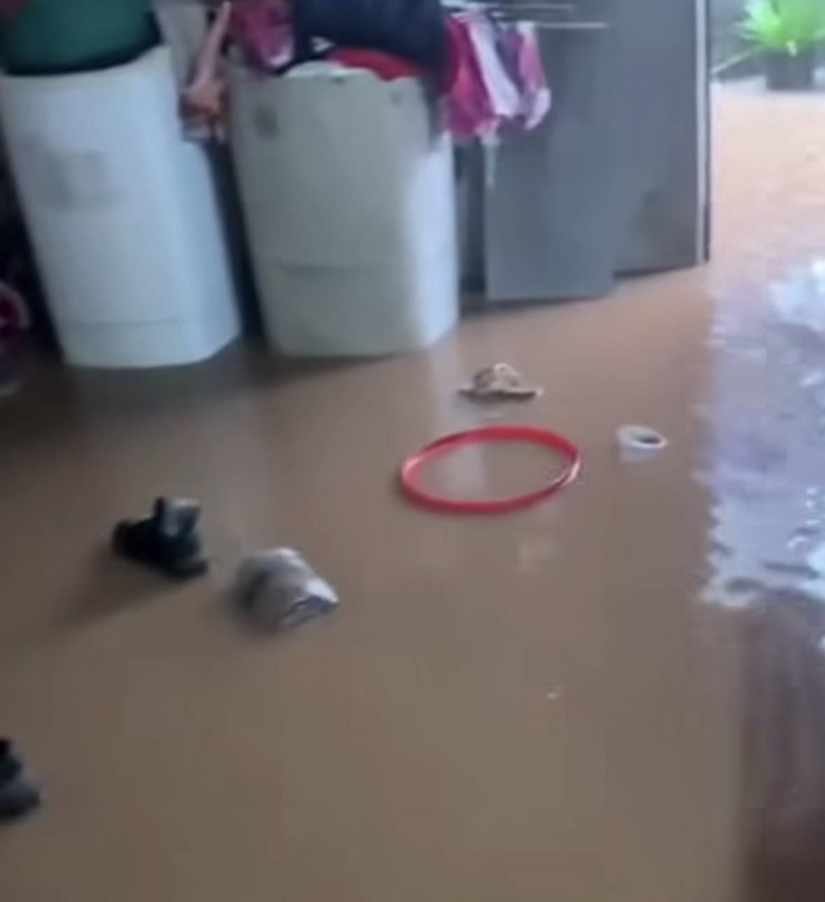 Chuva intensa invade casas, derruba árvores e provoca prejuízos em Imperatriz