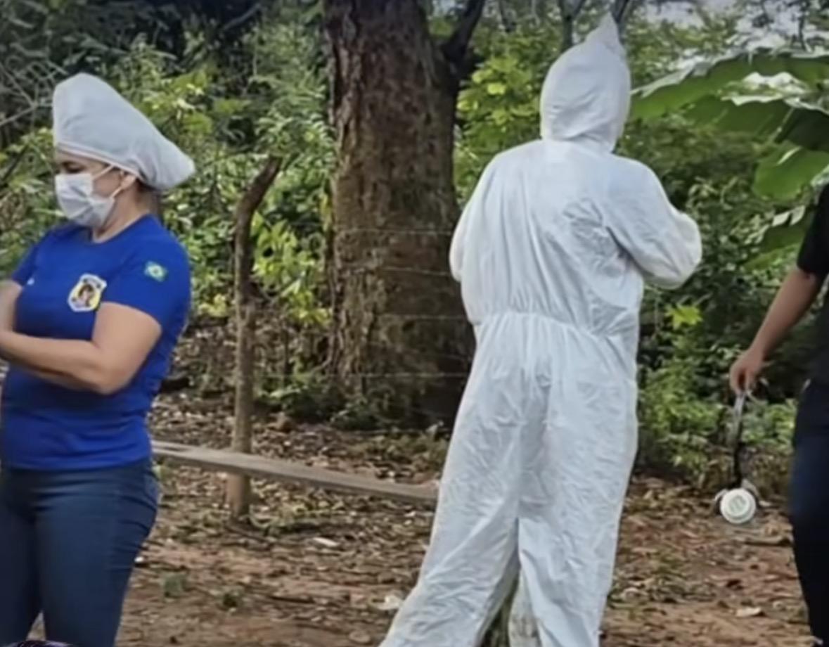 Corpo de mulher é encontrado em área de mata em Parauapebas