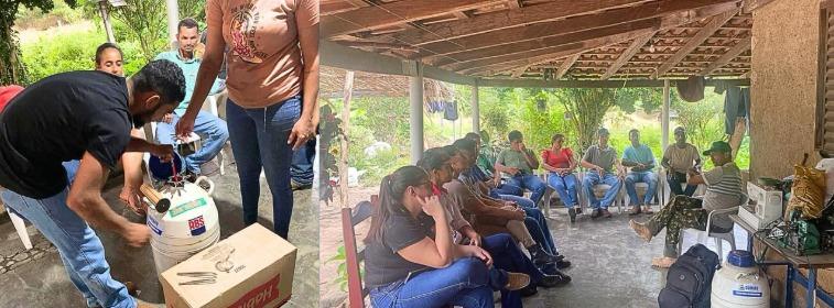 Cumaru do Norte promove curso de inseminação artificial para produtores rurais