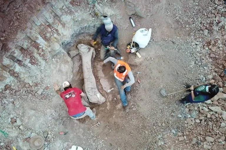 Ossos encontrados durante obra de ferrovia em Davinópolis são de dinossauro pescoçudo