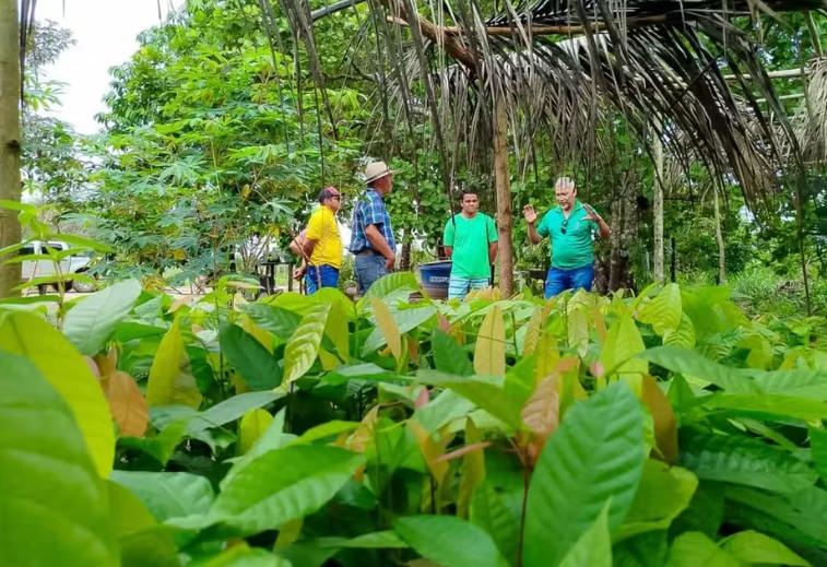 Processo seletivo com vagas no PA: Emater abre inscrições para cargos com salários de quase R$ 5 mil