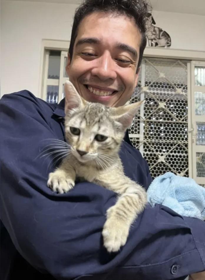 Psicólogo é acusado de matar mais de 17 gatos que ele mesmo adotou
