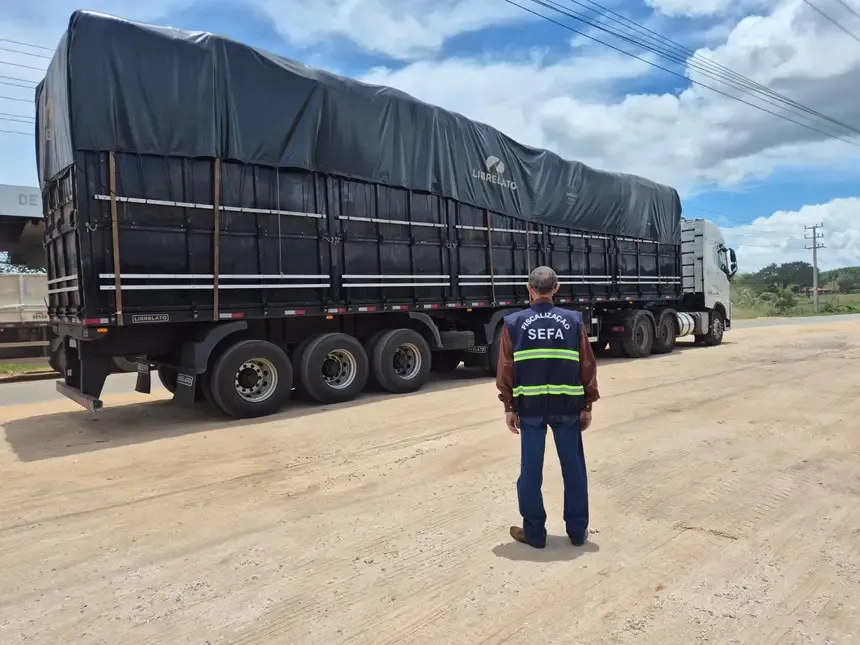 Sefa apreende 1.500 sacas de ração animal e plataformas em São Geraldo do Araguaia