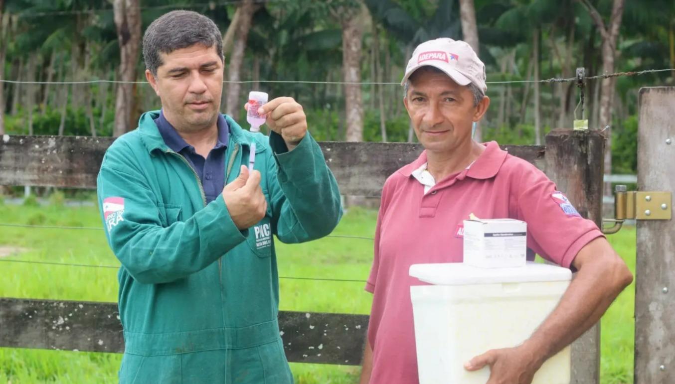 Adepará divulga datas para vacinação anual contra a Raiva dos Herbívoros no Pará