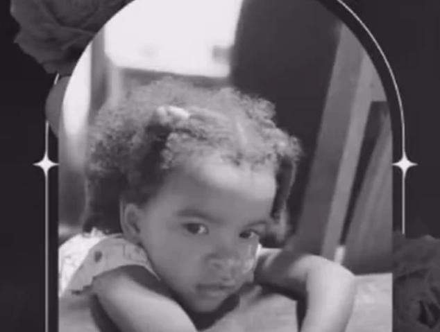 Criança de 3 anos morre após disparo acidental feito pelo irmão em Vargem Grande (MA)