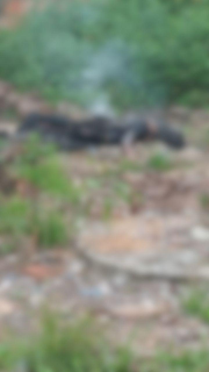 Crime brutal em Jacundá: mulher é encontrada carbonizada e suspeito é detido