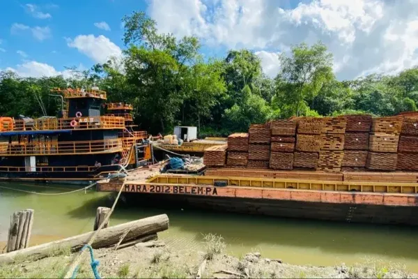 Justiça torna réu “olheiro” de esquema de madeira ilegal no Rio Xingu