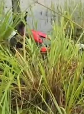 Mulher é encontrada morta às margens da VS-40 em Canaã dos Carajás