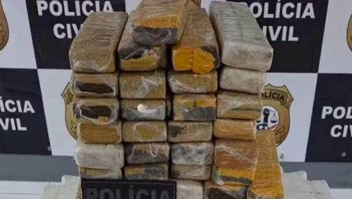 Mulher é presa transportando 35 barras de maconha de ônibus que vinha do Pará para o Maranhão
