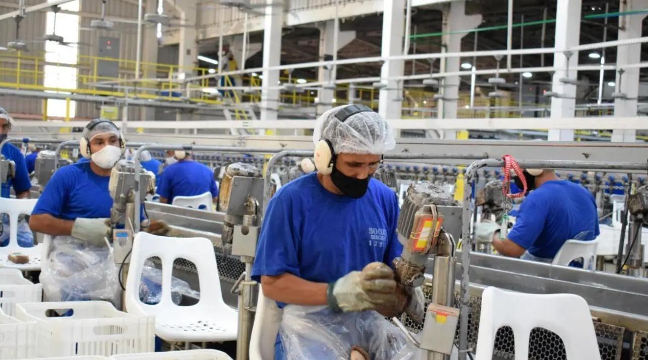 Pará lidera inserção de jovens no mercado de trabalho na região Norte