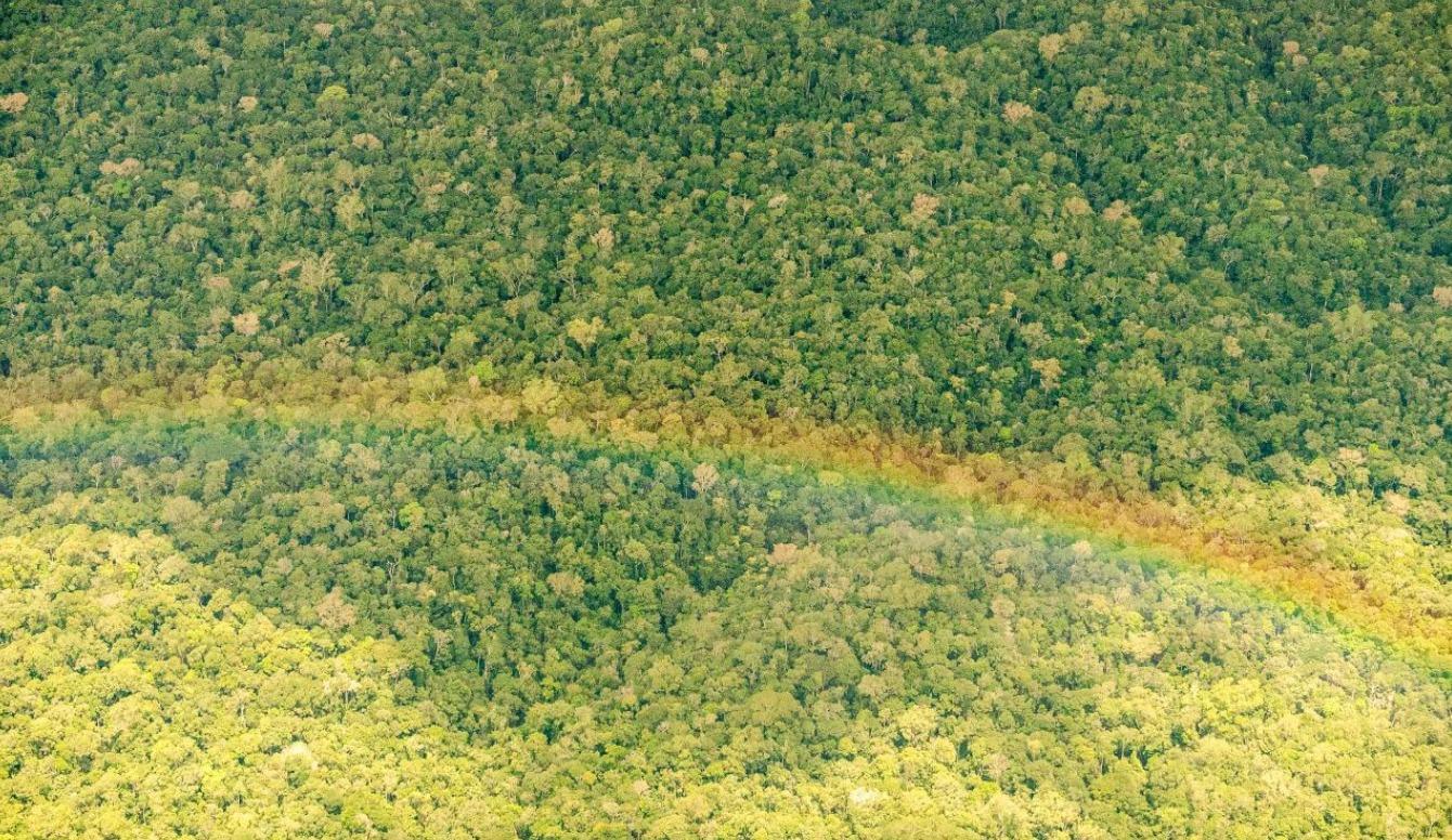 Pará reduz em 51% os alertas de desmatamento, apontam dados do INPE
