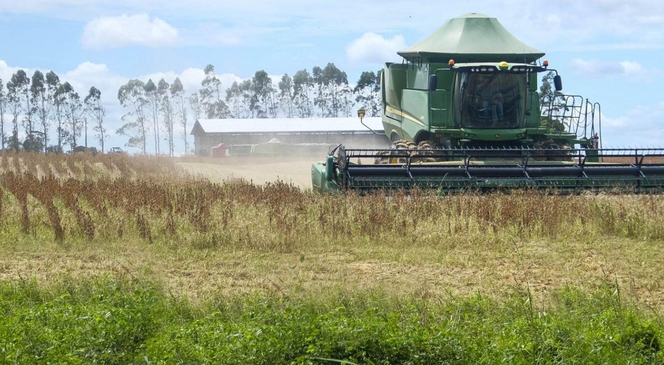 PIB do Pará cresce acima da média nacional no quarto trimestre de 2025