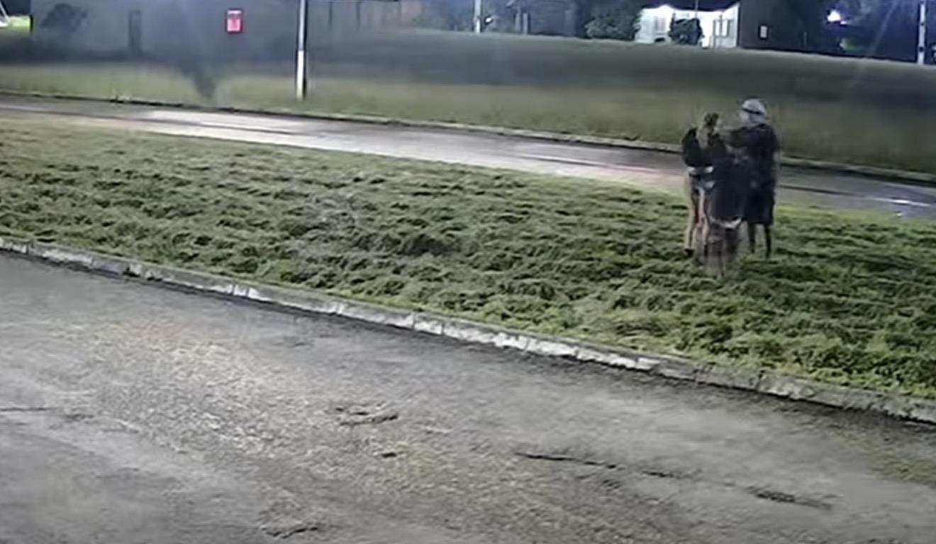 PM prende dupla que rendeu e assaltou mulher, em Cametá