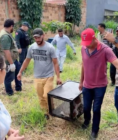 Prefeitura de Xinguara resgata animais abandonados e reforça combate aos maus-tratos