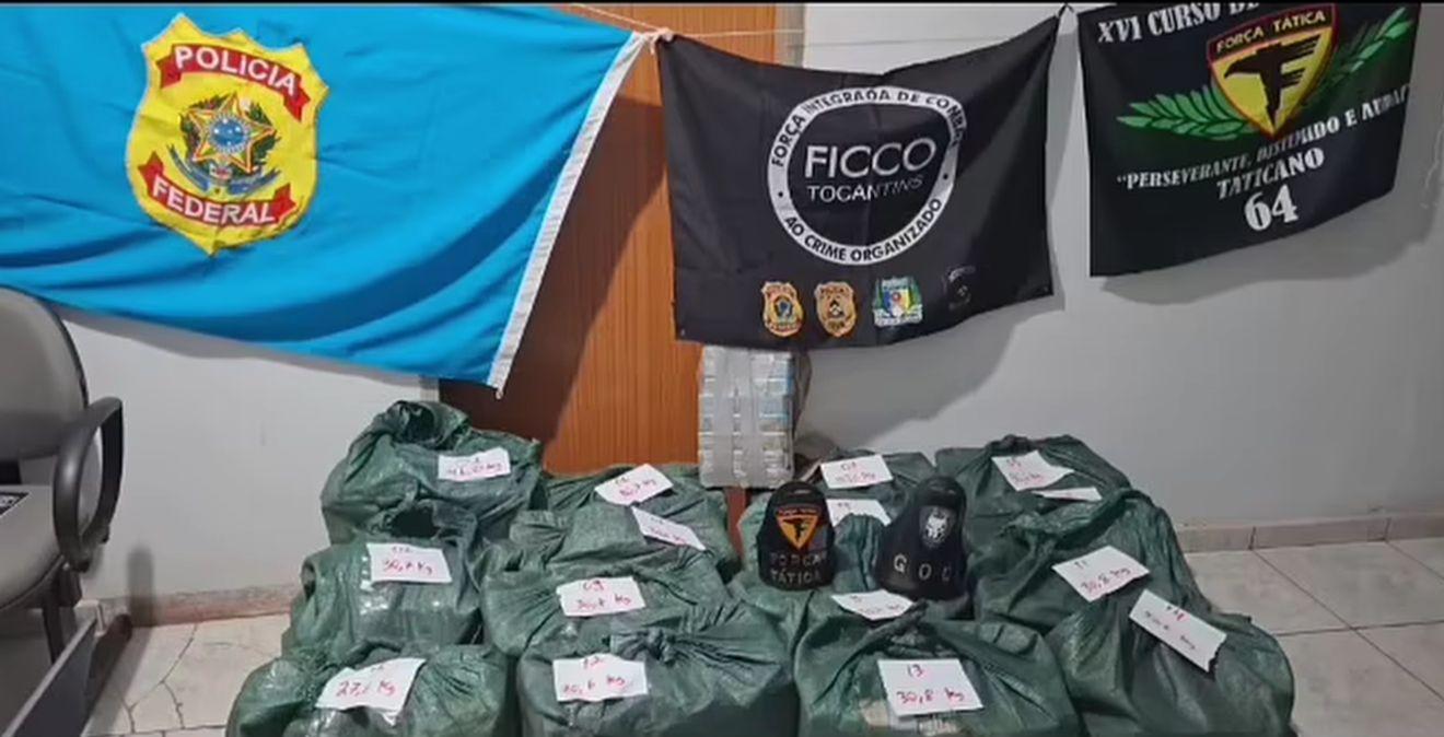Quase meia tonelada de drogas é apreendida em carga de abacaxi no Tocantins